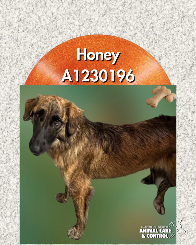 Honey
